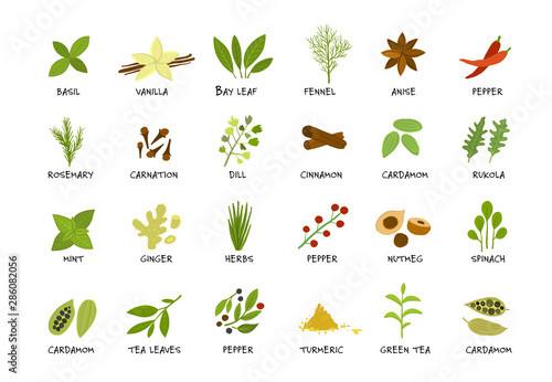 Spicy collection, sketch for your design