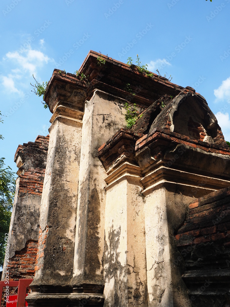 Naklejka premium OLYMPUS DIGITAL CAMERA