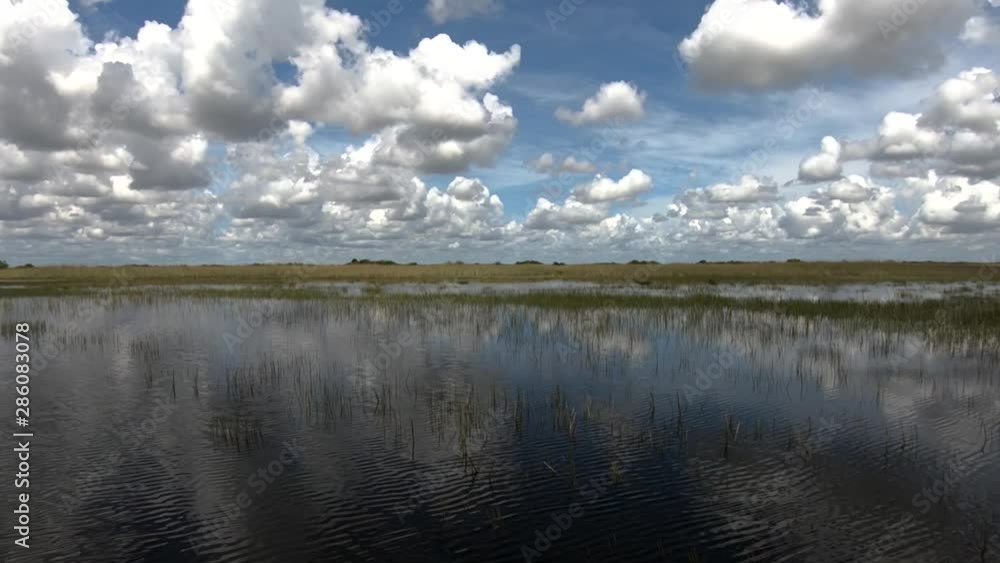 Slow motion forward moving on air boat with sky reflection on water, Everglades, Florida Slow motion forward moving on air boat with sky reflection on water, Everglades, Florida
