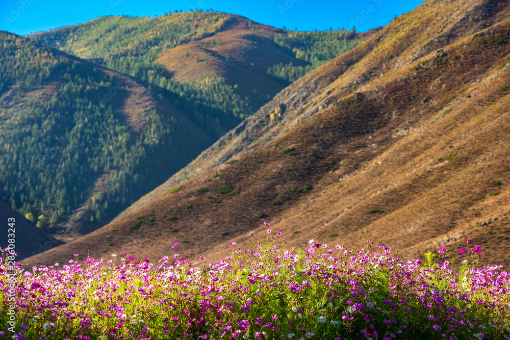 Xinjiang Cocoto sea Geological Park Elder Grand Canyon Scenic Area