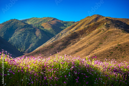 Xinjiang Cocoto sea Geological Park Elder Grand Canyon Scenic Area