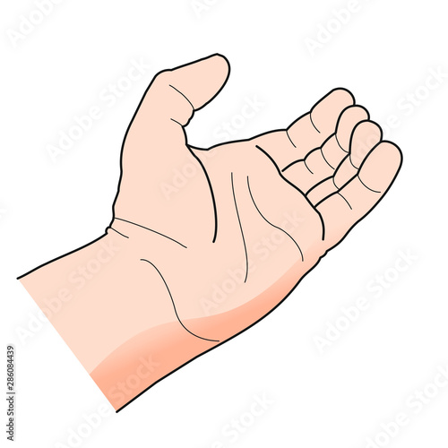 Hand, offen [coloriert]