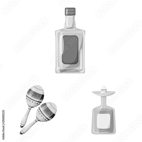 Vector illustration of fajita and fiesta symbol. Collection of fajita and celebration stock symbol for web.