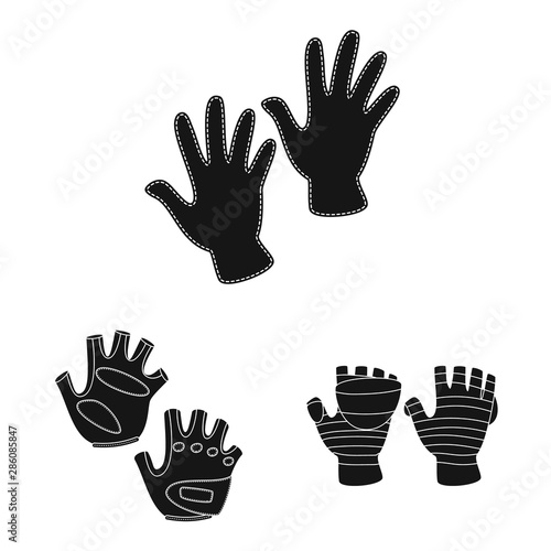 Vector illustration of warm and comfort sign. Collection of warm and style vector icon for stock.