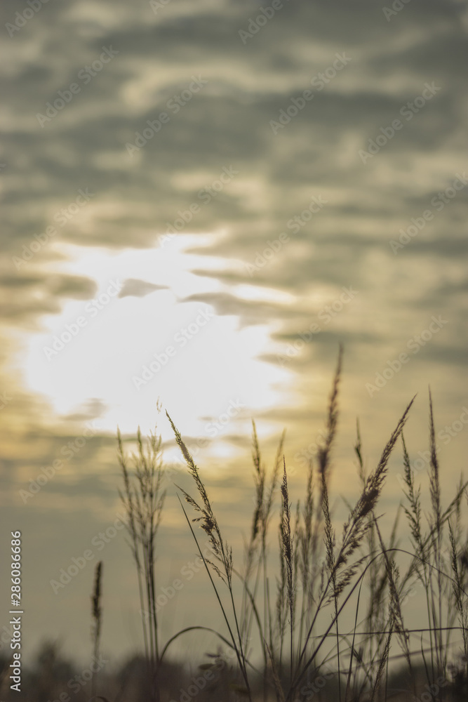 mysterious sunset mysterious sunset