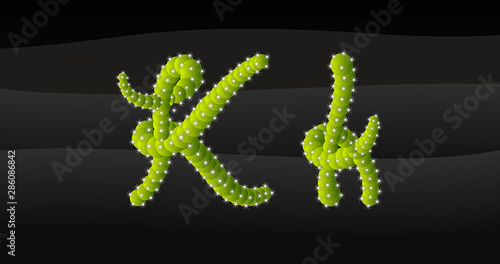 K-k 3D Cactus Alphabet
