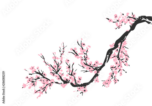 Cherry blossom Sakura bloom template