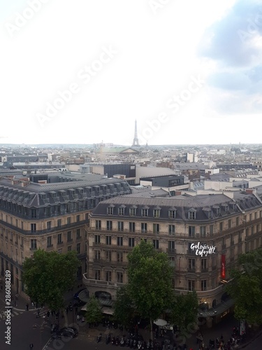 Paris panoramic view © Marcelo