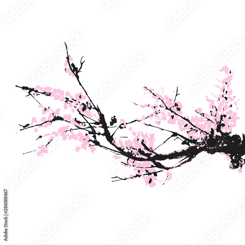 Cherry blossom Sakura bloom template