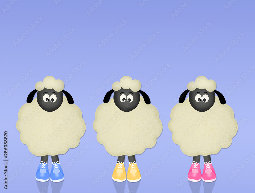 funny sheeps with shoes funny sheeps with shoes