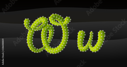 W-w 3D Cactus Alphabet