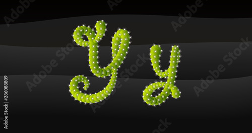 Y-y 3D Cactus Alphabet
