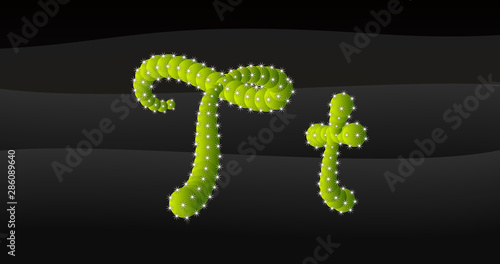 T-t 3D Cactus Alphabet