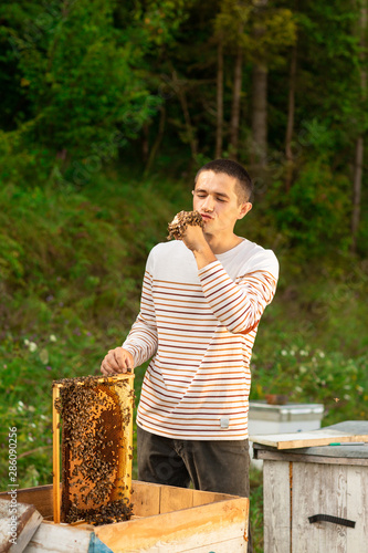 Beekeeper holding a honeycomb full of bees. A man smiling and gently resting his hand with the bees on his face © Olha