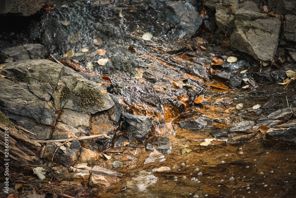 Bach, Wasser, Wald, Textur, Hintergrundbild, Muster, Fliesen Bach, Wasser, Wald, Textur, Hintergrundbild, Muster, Fliesen