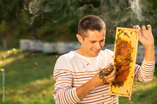 Beekeeper holding a honeycomb full of bees. A man checks the honeycomb and collects the bees by hand © Olha