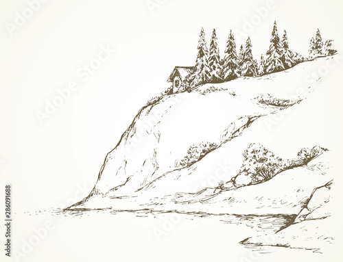 Firs on hill above river. Vector drawing