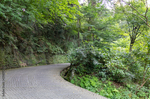 足羽山公園