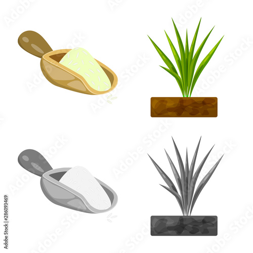 Vector design of crop and ecological sign. Collection of crop and cooking vector icon for stock.