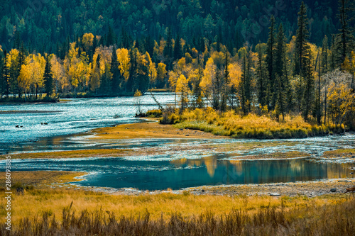 Xinjiang Kanas River autumn scenery