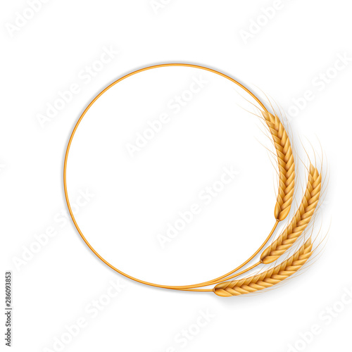 Wreath with wheat ears. Frame of spikelets. EPS 10