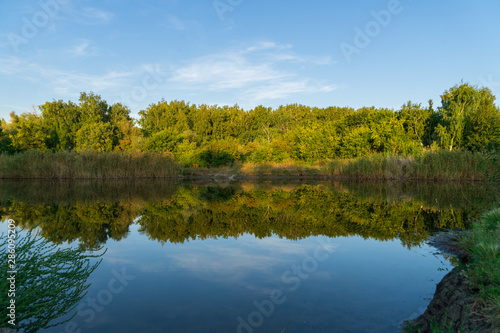 Reflection of forest and sky in a calm river in early autumn on a sunny sunset day.