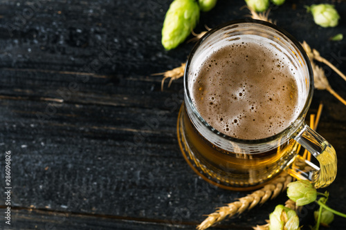 Mug of light beer on a dark background with green hops and ears of wheat copy space