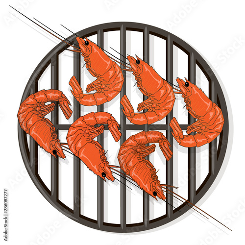 Prawn or tiger shrimp grilliing  / bbq vector illustration isolated on white background.