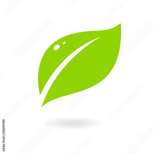 Green abstract leaf icon. Elements for eco and bio logos. Vector symbol isolated on a white background.