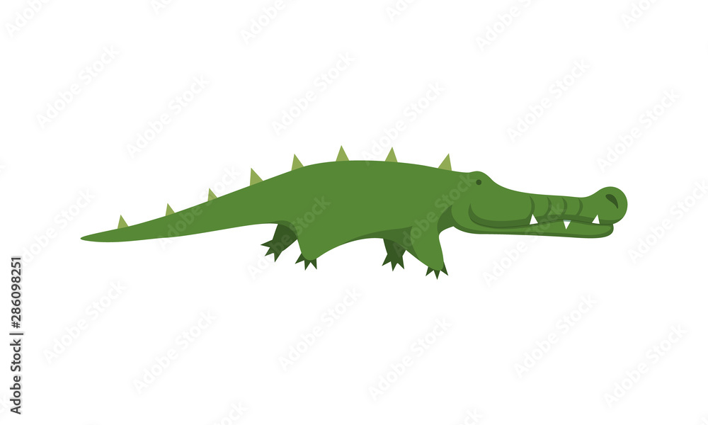 Cartoon crocoldile isolated on white background Cartoon crocoldile isolated on white background