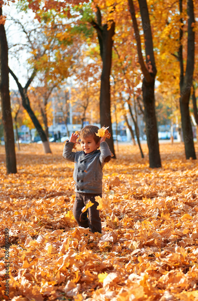 Happy child playing, posing, smiling and having fun in autumn city park. Bright yellow trees and leaves Happy child playing, posing, smiling and having fun in autumn city park. Bright yellow trees and leaves