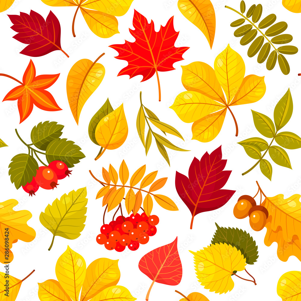 Obraz premium Autumn leaves vector seamless pattern isolated on white background