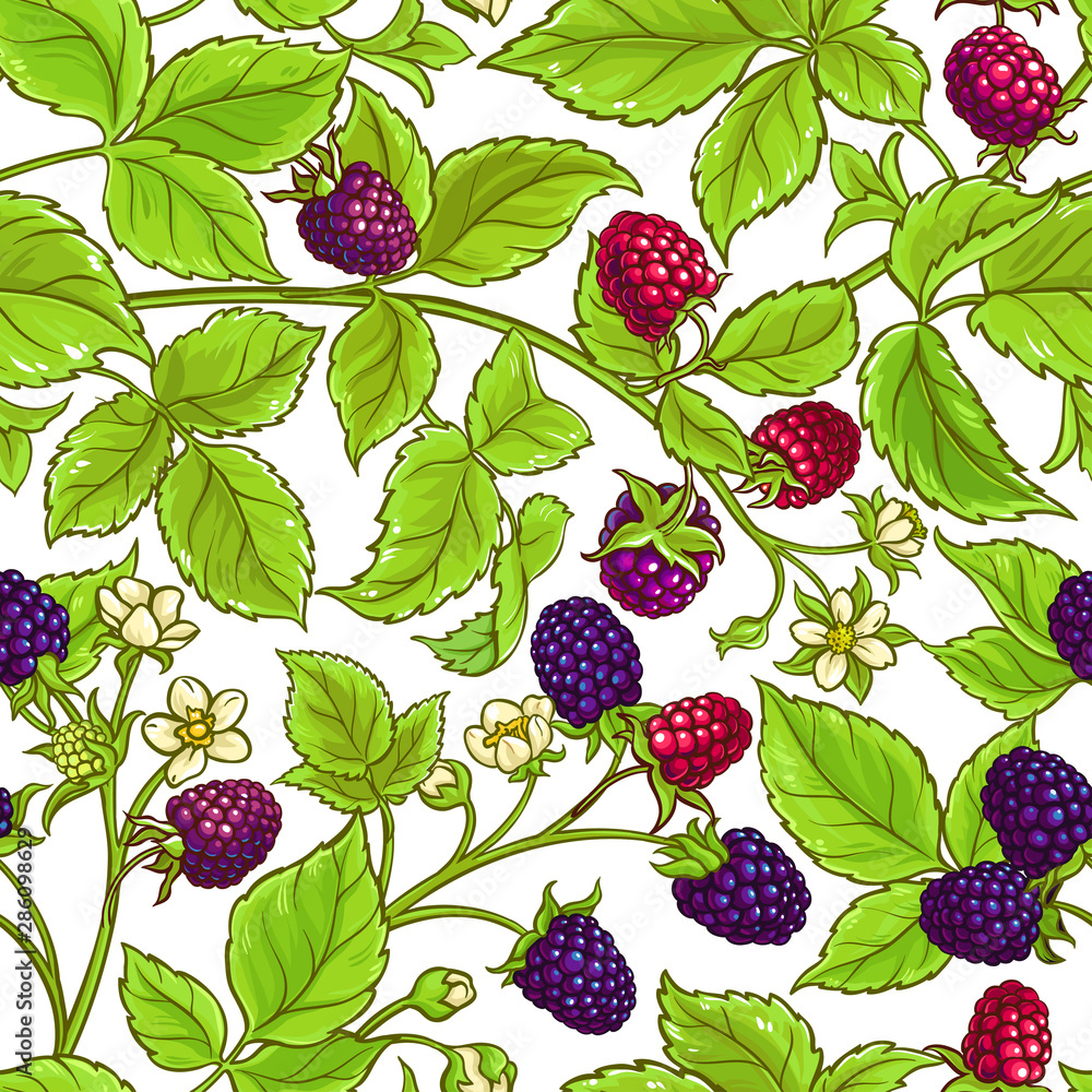 boysenberry vector pattern boysenberry vector pattern