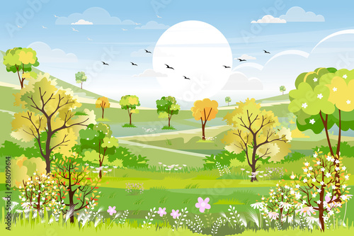 Panorama view of spring forest with green meadow on hills with blue sky, Vector Summer or Spring landscape, Panoramic countryside landscape field and grass flower in green foliage
