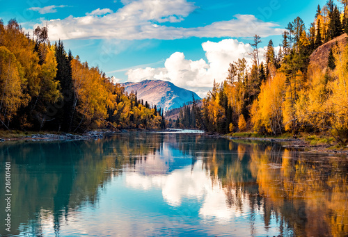Fototapeta Naklejka Na Ścianę i Meble -  Xinjiang Kanas River autumn scenery