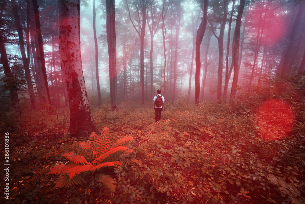 man in magical forest with red foliage man in magical forest with red foliage