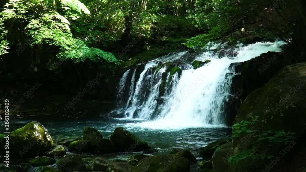 夏の蓼科大滝 夏の蓼科大滝