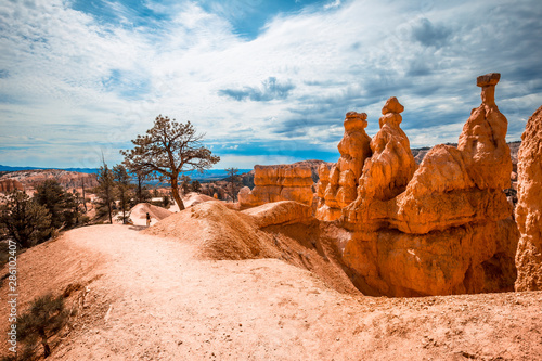 Top of the Queens Garden Trail trekking in Bryce National Park, Utah. United States
