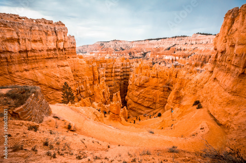 The zigzag climb of the beautiful Navajo Loop Trail in Bryce National Park, Utah. United States