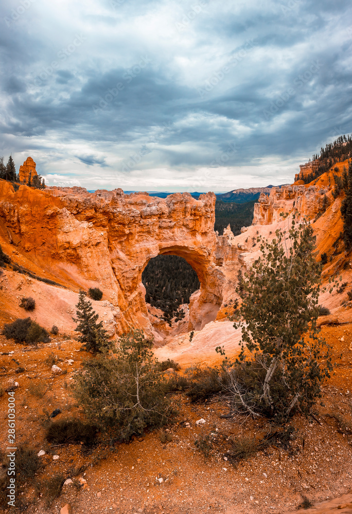 View of the beautiful The Arch Grand Escalante in Bryce National Park from the viewpoint. Utah, United States, vertical photo