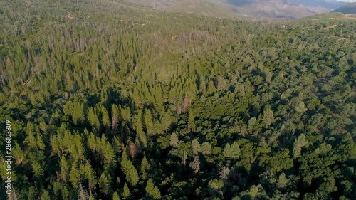 Wallpaper Mural California near Yosemite Torontodigital.ca