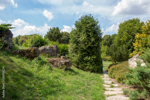 Beautiful green landscapes of the Polish botanical garden: trees, shrubs, flowers of different species on a sunny summer day, landscape design of plants and stones.