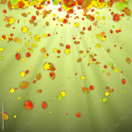 Autumn Background with Falling Leaves