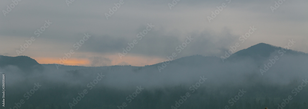 Coniferous forest in morning fog (mist), breathing mountains. Freshness and mystery. Coniferous forest in morning fog (mist), breathing mountains. Freshness and mystery.