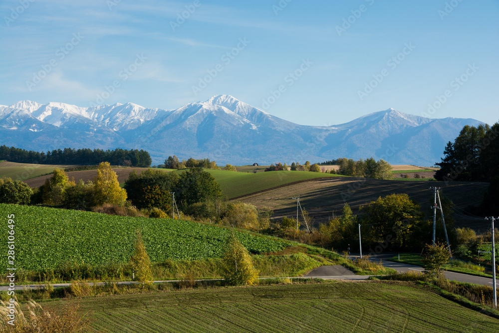 秋の畑作地帯と冠雪の山並み　十勝岳連峰