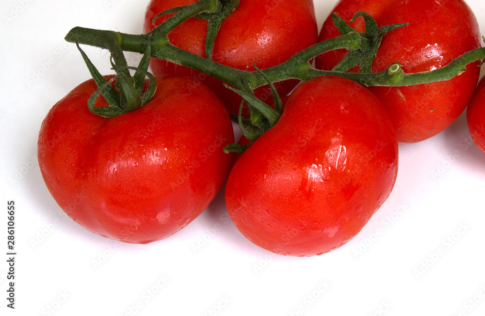 custom made wallpaper toronto digitaltomatoes on the vine