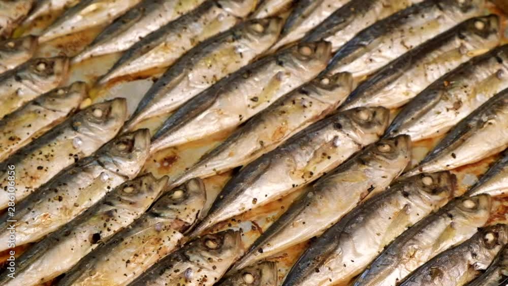 Small sardina fish. Cooking Roasted sea fish Small sardina fish. Cooking Roasted sea fish