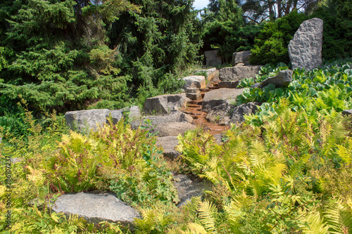 Bright summer landscape of the botanical garden - a mountain stream among trees, plants and flowers on a summer sunny day.