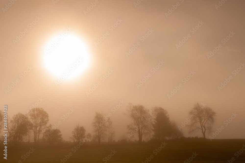 Sunrise over a foggy treeline, Stowe, Vermont, USA Sunrise over a foggy treeline, Stowe, Vermont, USA