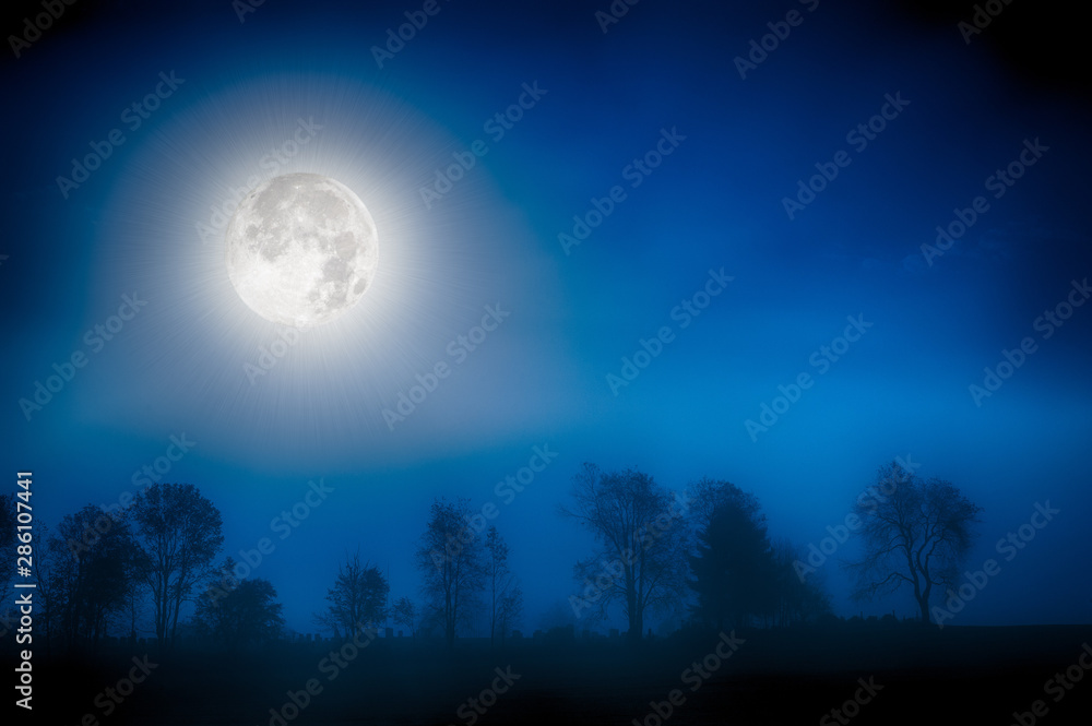 Moon over a foggy treeline, Stowe, Vermont, USA Moon over a foggy treeline, Stowe, Vermont, USA